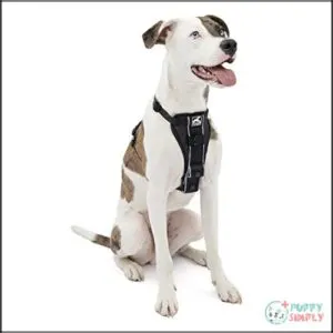 Kurgo Tru-Fit Smart Harness, Dog