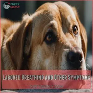 Labored Breathing and Other Symptoms