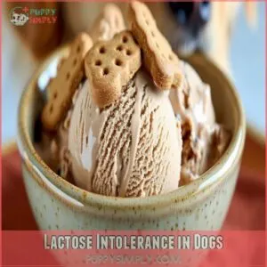 Lactose Intolerance in Dogs