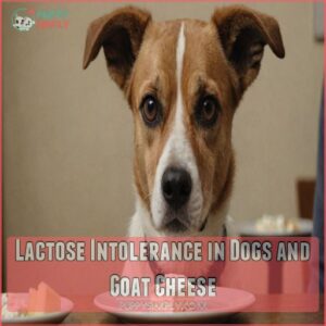 Lactose Intolerance in Dogs and Goat Cheese