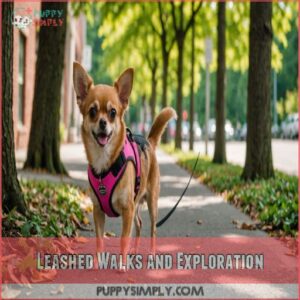 Leashed Walks and Exploration