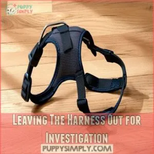 Leaving The Harness Out for Investigation