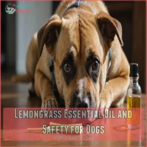 Lemongrass Essential Oil and Safety for Dogs