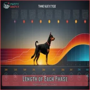 Length of Each Phase