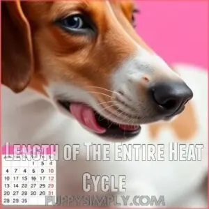 Length of The Entire Heat Cycle