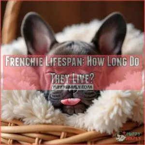 lifespan of frenchie