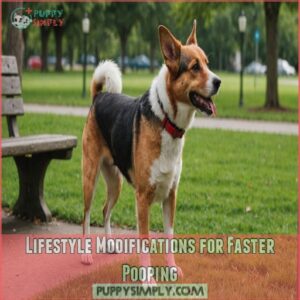 Lifestyle Modifications for Faster Pooping