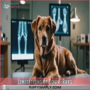 Limitations of Dog X-Rays