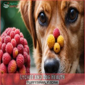 Lychee and Dog Health