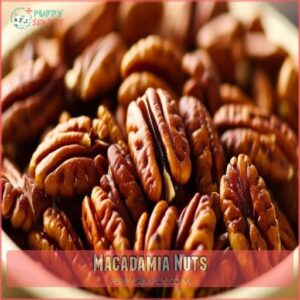 Macadamia Nuts