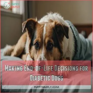 Making End-of-Life Decisions for Diabetic Dogs