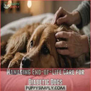 Managing End-of-Life Care for Diabetic Dogs