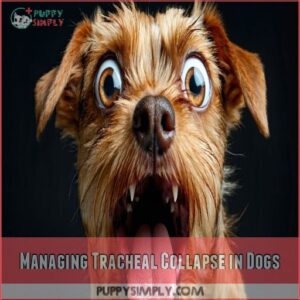 Managing Tracheal Collapse in Dogs