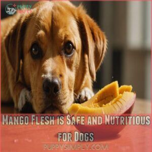 Mango Flesh is Safe and Nutritious for Dogs Mango Flesh is Safe and Nutritious for Dogs