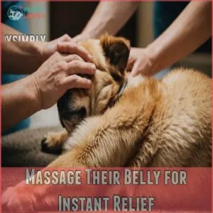 Massage Their Belly for Instant Relief