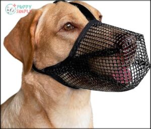 Mayerzon Dog Muzzle, Soft Mesh