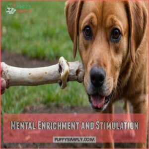 Mental Enrichment and Stimulation