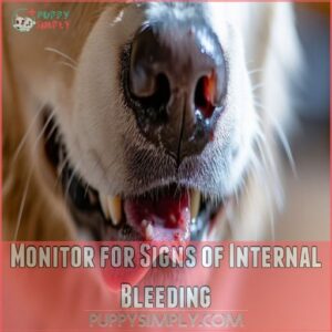 Monitor for Signs of Internal Bleeding