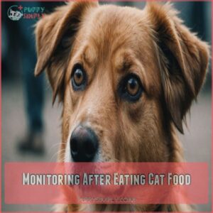 Monitoring After Eating Cat Food