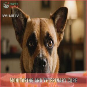 Monitoring and Veterinary Care