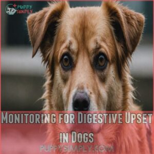 Monitoring for Digestive Upset in Dogs