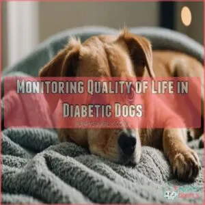 Monitoring Quality of Life in Diabetic Dogs