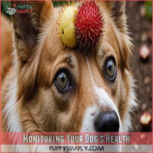 Monitoring Your Dog