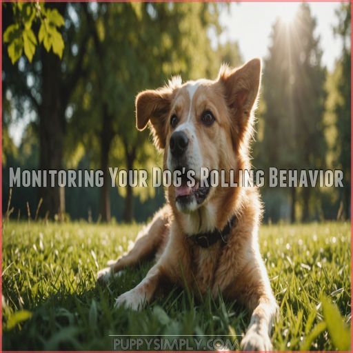 Monitoring Your Dog