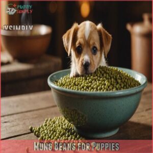 Mung Beans for Puppies