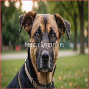 Muzzle Safety Tips