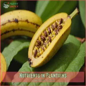 Nutrients in Plantains