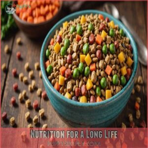 Nutrition for a Long Life