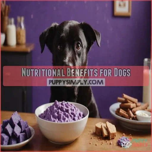 Nutritional Benefits for Dogs