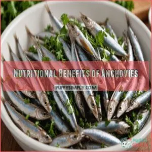 Nutritional Benefits of Anchovies