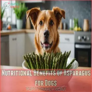 Nutritional Benefits of Asparagus for Dogs