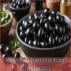 Nutritional Benefits of Black Olives for Dogs