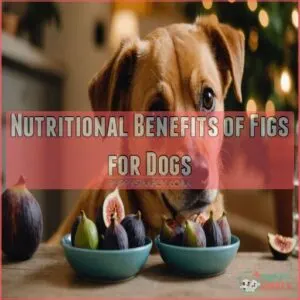 Nutritional Benefits of Figs for Dogs