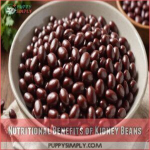Nutritional Benefits of Kidney Beans Nutritional Benefits of Kidney Beans