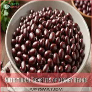 Nutritional Benefits of Kidney Beans