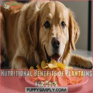 Nutritional Benefits of Plantains for Dogs