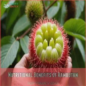 Nutritional Benefits of Rambutan