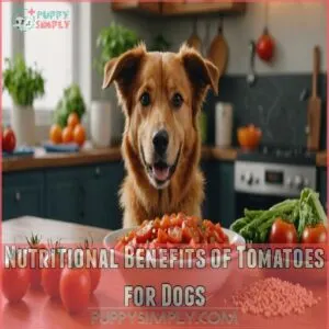 Nutritional Benefits of Tomatoes for Dogs