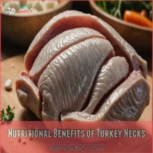 Nutritional Benefits of Turkey Necks