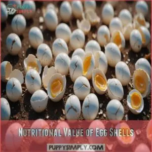 Nutritional Value of Egg Shells