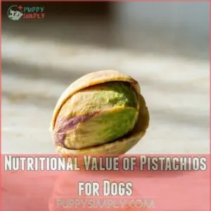 Nutritional Value of Pistachios for Dogs