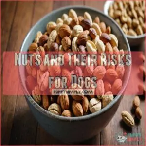 Nuts and Their Risks for Dogs