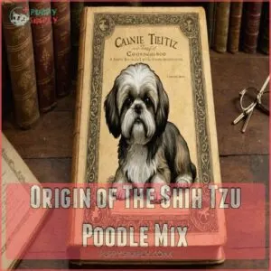 Origin of The Shih Tzu Poodle Mix