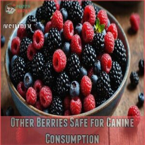 Other Berries Safe for Canine Consumption