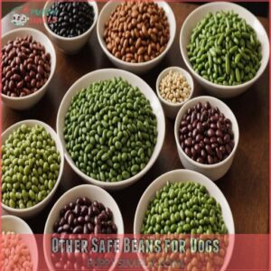 Other Safe Beans for Dogs