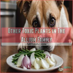 Other Toxic Plants in The Allium Family